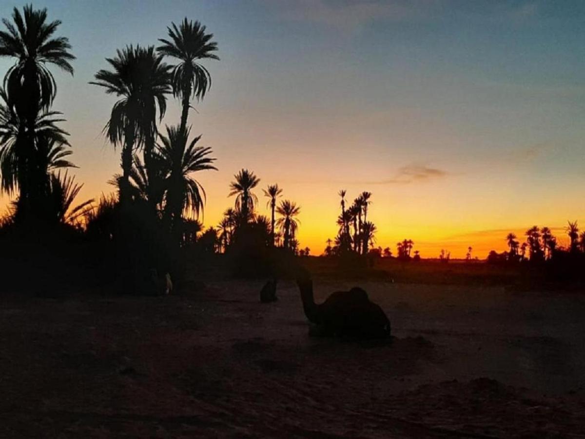 M'Hamid Desert Camp Tours Екстер'єр фото